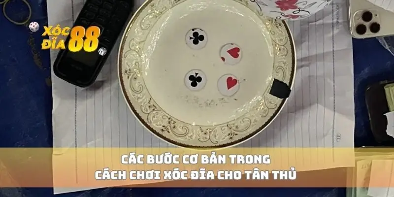 Các bước cơ bản trong cách chơi xóc đĩa cho tân thủ